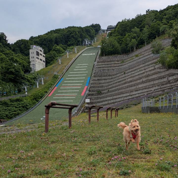 A76eb019 5d46 436f bfca 809df7d046d8 1751409386681