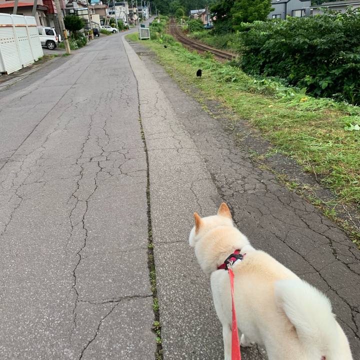 A76ec5eb 7ed8 4eb9 8d9d b81cac6a07c4 1595626085059