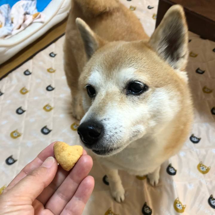 A76f6290 69c3 4906 8939 b34e4bae6f9a 1589420550103