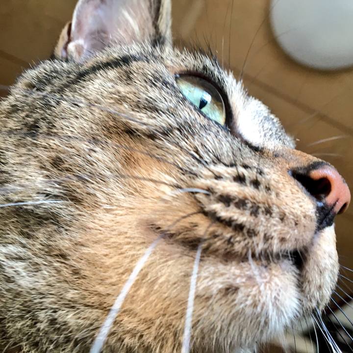 A76f65fa 696d 4b50 869f 67ed1c691727 1533955099100