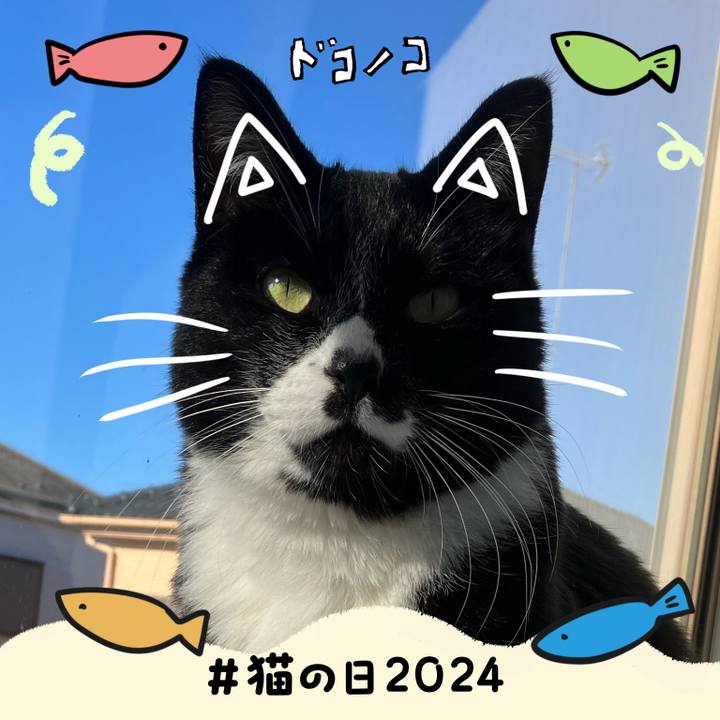 A76f7abc d386 4eaf 8c41 81a5243ed6c1 1708570749303