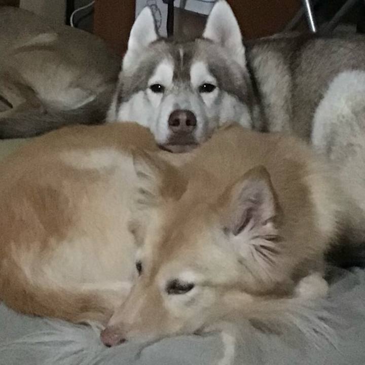 A76f7e9d b25a 4e36 a6b9 18795aa5cea1 1608339142759