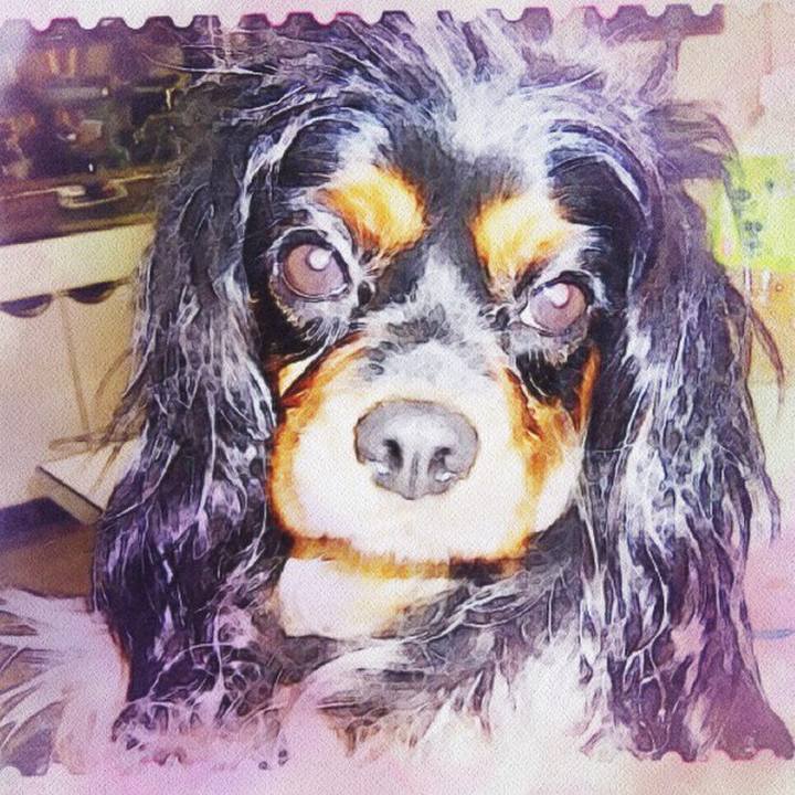 A76fab7d a81f 4e5f b1be 571d1d1c27b3 1509785040167