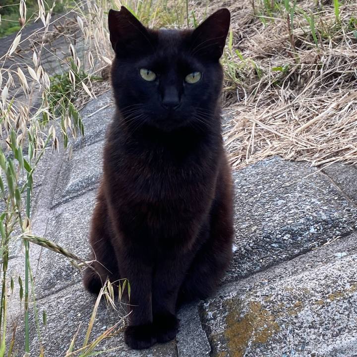 A76fb6e0 bde6 4857 800d afae6cf381ae 1687416502167