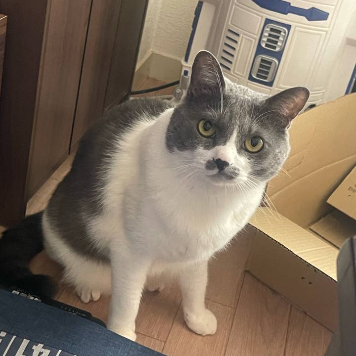 A76fb8d1 8987 454c 9d79 c05303a87ac4 1714604345634