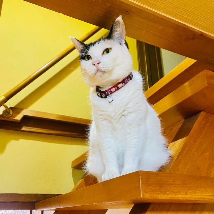 A76fbb3c 0a0f 4c76 b089 e5efb3ae8be4 1660337572446