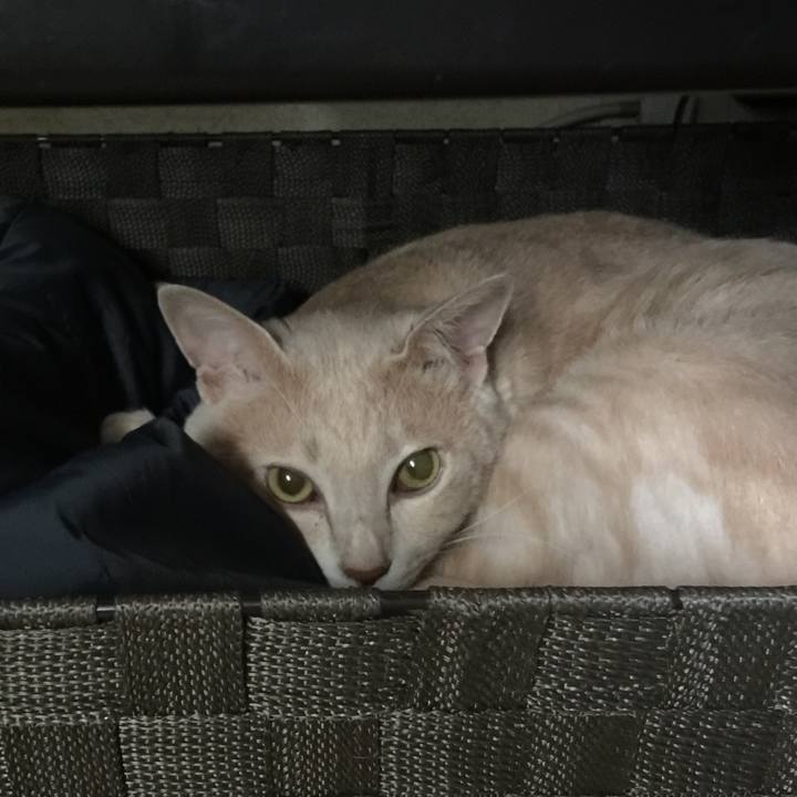 A76fda32 0f37 46a9 9744 d7ff0d2afa50 1597662880452