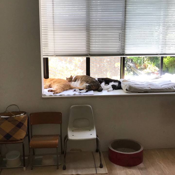 A76ffffc 4dab 4bfa 9bc9 8f6271264393 1558841692660