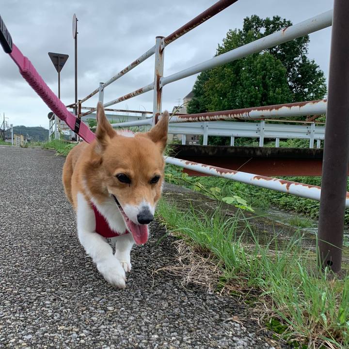 A7706163 0625 4ec7 aa9f 378c18d396ce 1725150228847