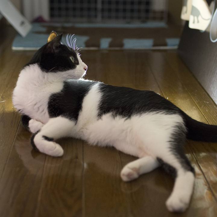 A77069df ccaf 487d 8f9e 1f38eac197a4 1534936384098