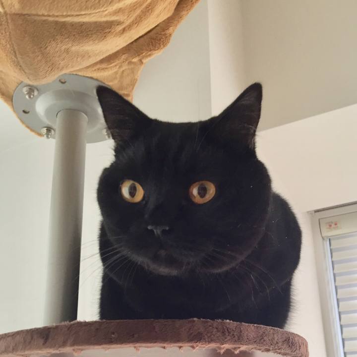 A770786c 5f08 444b a7b6 a7c0287ec457 1511312452524