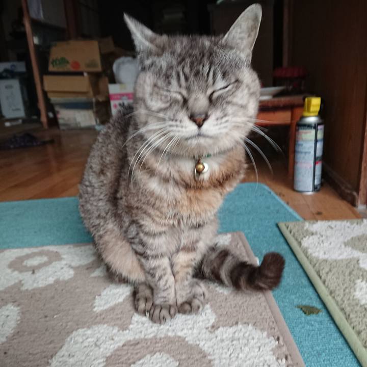 A770e095 5b7e 493b b640 259cefbd584d 1569551401731