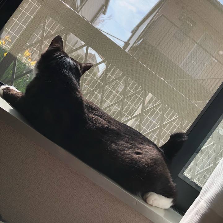 A770e474 204b 43b0 9833 42293a1a648e 1522114666623