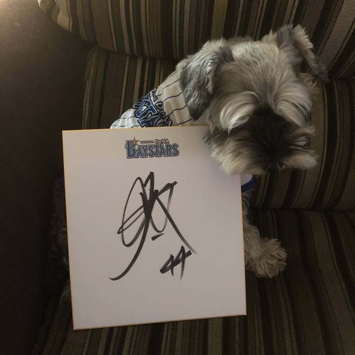 A77133a4 35a3 44eb 9daf 0aae918e4033 1554018793398