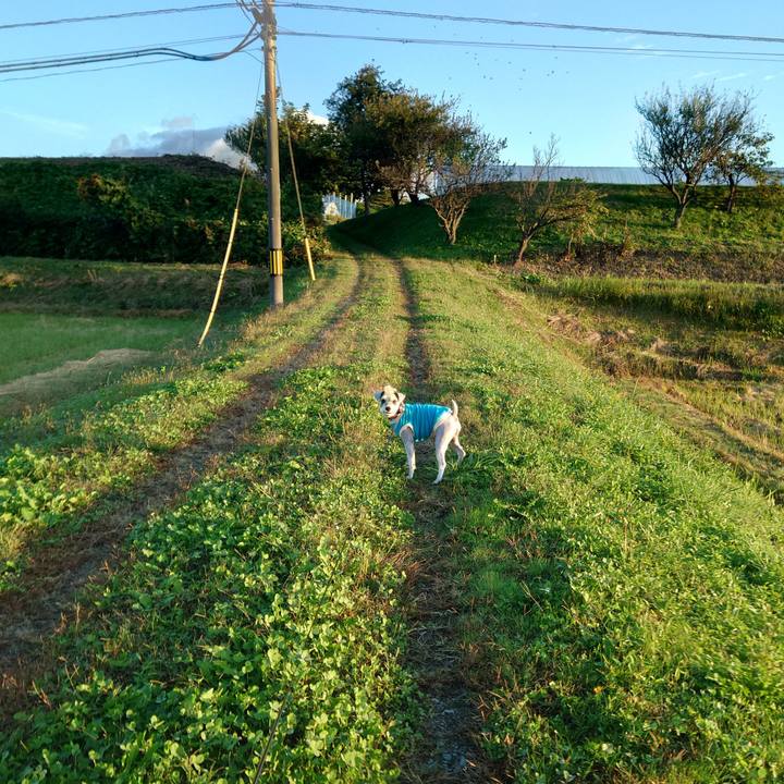 A77155cb 0ca8 44f6 8900 7157e487418b 1761001041929