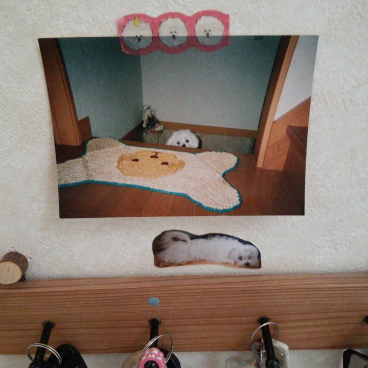 A771666d 4af8 4cf5 a110 7a6c1e9f0408 1527393458040