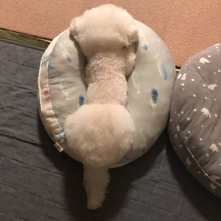 A7718762 740d 4b1d 97fe 8075d67f32f1 1572356218507