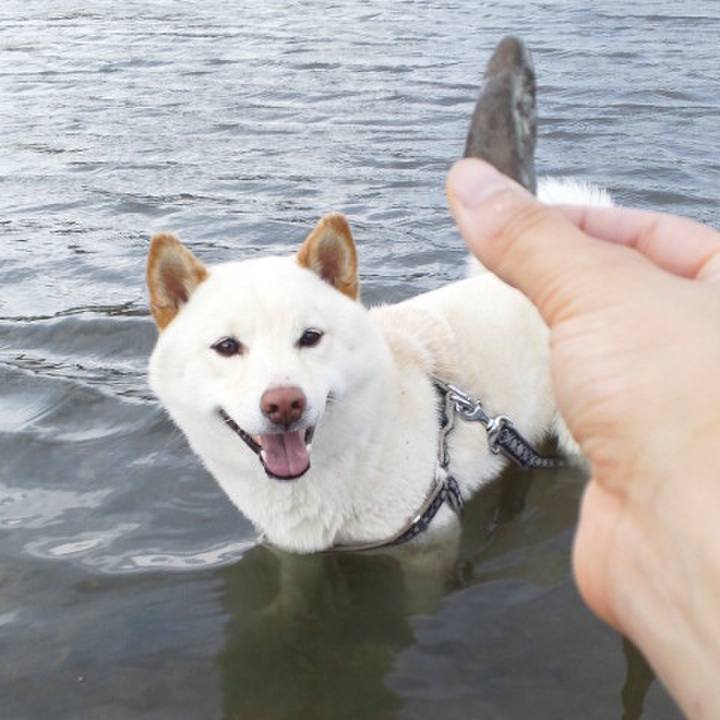 A7719bb1 3bef 4747 bba3 7e2285eeb43a 1656391182305