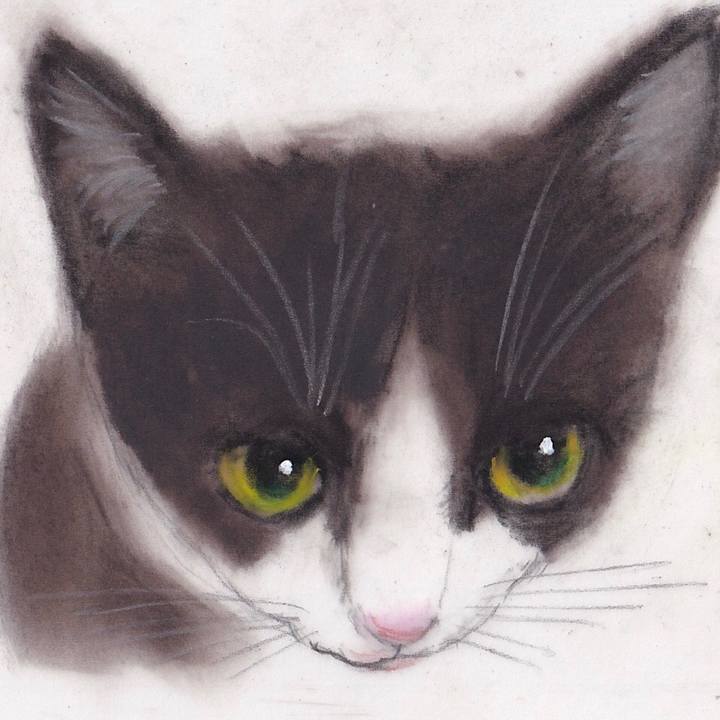 A771b370 7840 4d96 a781 7d91348550df 1668566226146