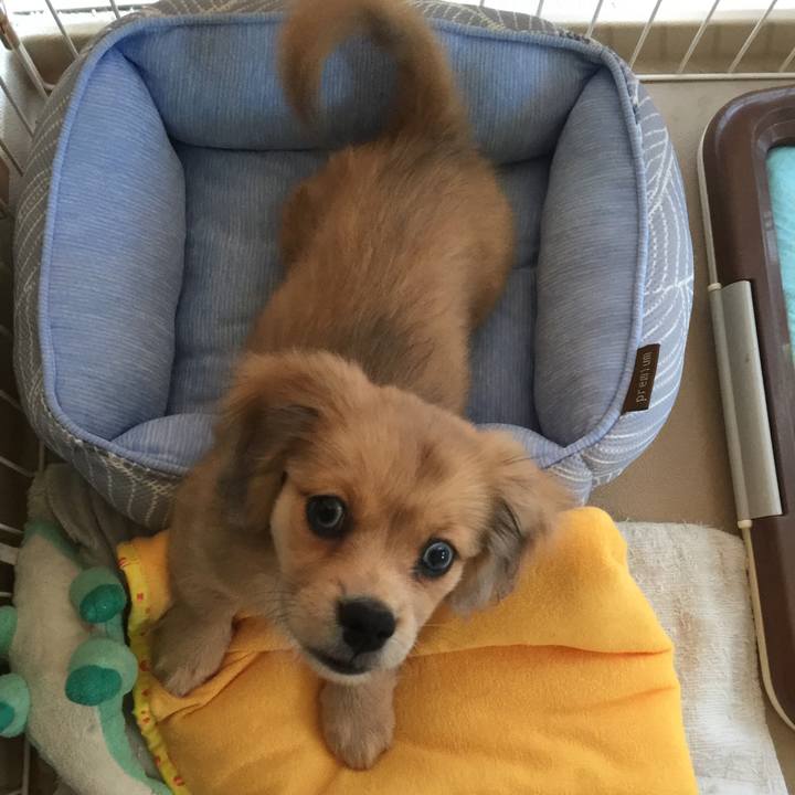 A771cd23 f4f0 4750 af95 695f10edb09b 1541563285580