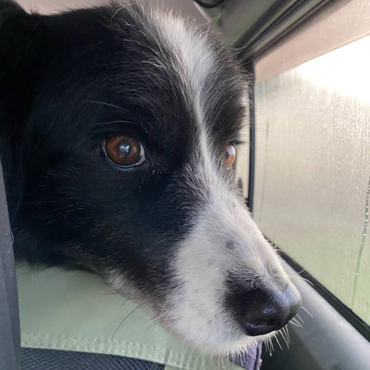 A77203ba ebce 4790 95ce 845245cab206 1679868061245