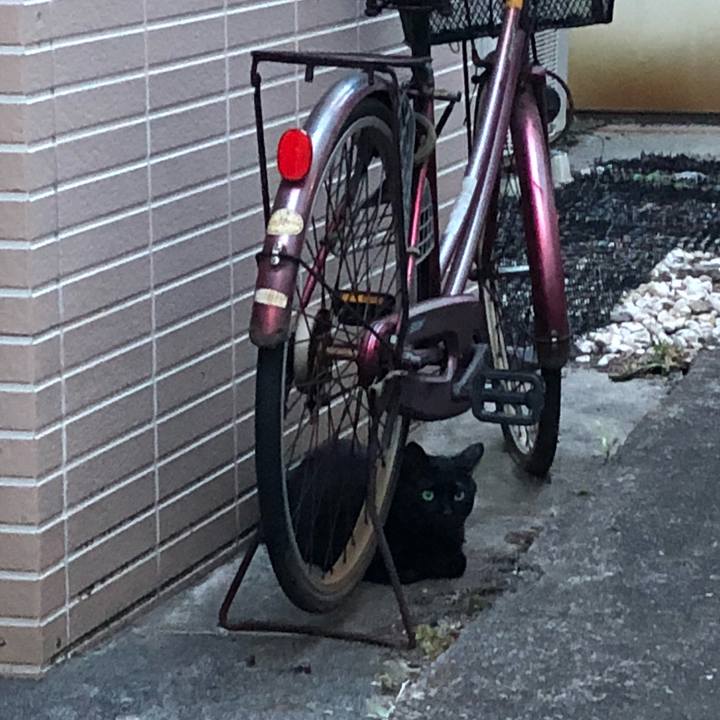 A7720d88 783e 4f7a ac47 09bc15617723 1534673693029