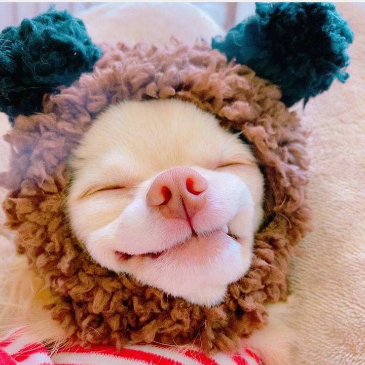 A77226f6 5552 47f7 9c7a 9cff077fb349 1667964223634