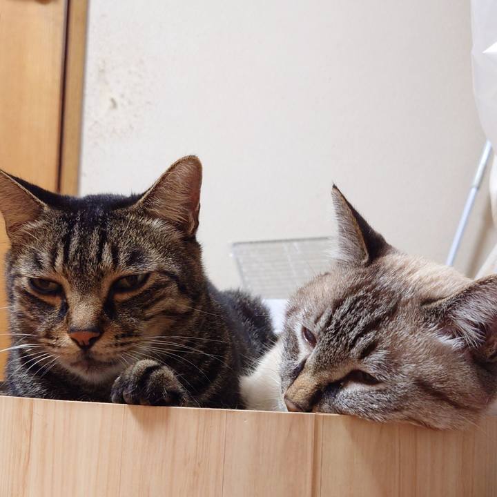 A7727c82 60f4 47e9 b379 8b06abbcd070 1725280690289