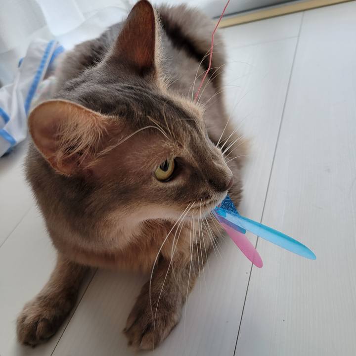 A7728689 1784 47a0 b981 5e530eb680c6 1691734275063