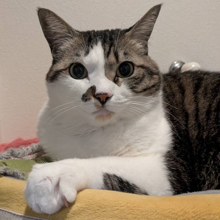 A772b1ad 1c18 4712 8f9d 115a4365c4b0 1738278375243