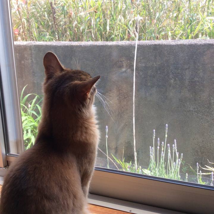 A772efb1 5592 452c b939 3562ae7ea1f0 1587082687576