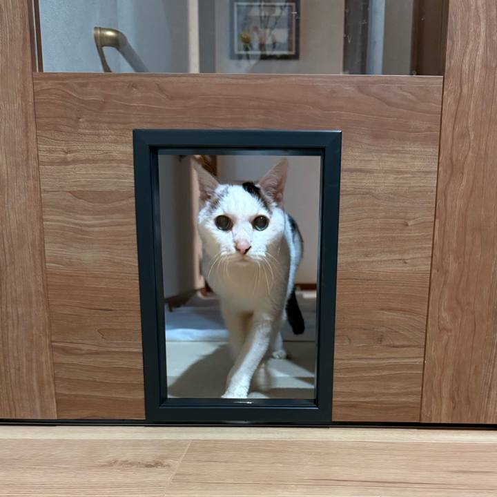 A772fe37 317c 45f7 b649 029b0f7b5f80 1769595270558