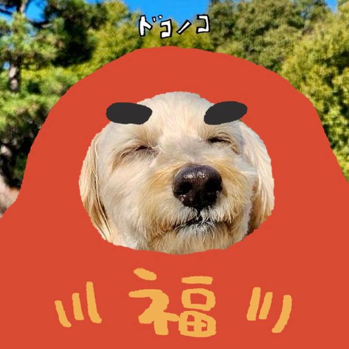 A7732f12 3582 451a b9ba 4f593fba1ba2 1771814223630