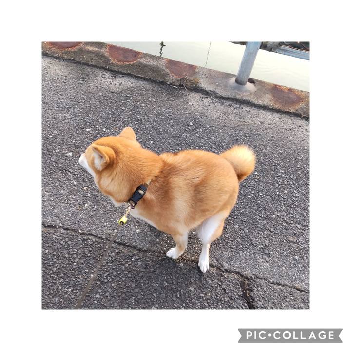 A7736792 d678 4f67 945c c1d19de42db4 1727737094827