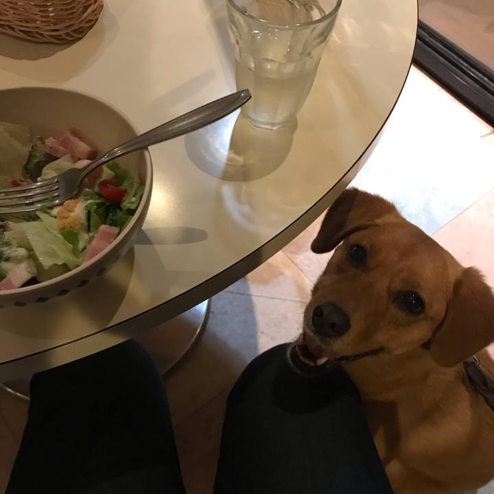 A77371f4 6f56 4253 9ed4 0d3c12cbb1fc 1559821905433