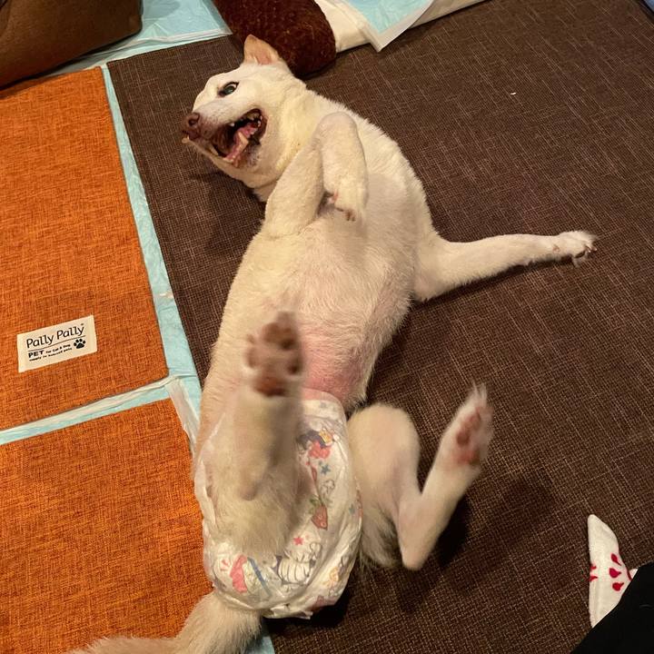 A7741cbc ae90 43d7 85b3 c026677aaeec 1668085626385