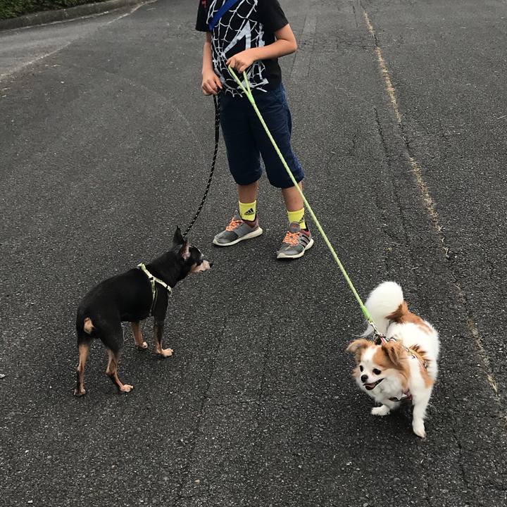 A7741ddc 2464 4ab7 8693 ebef1d90f95c 1566126659490