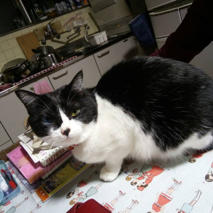 A7744c59 4179 4a84 80aa 6bb9729bc472 1527678304481