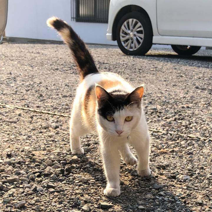 A7748f58 6084 41d3 8912 e89169029938 1623191000366