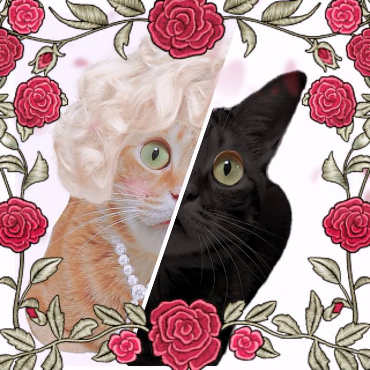 A774a9d7 b2f8 4b11 9842 30c09688c282 1563666650794