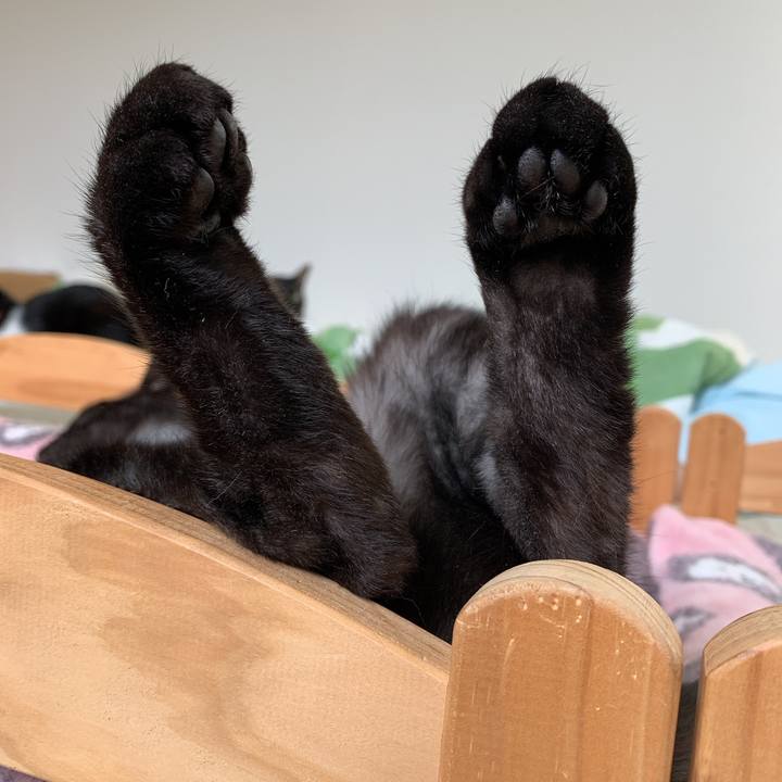 A774d8cb e8c7 4532 944c 9298df7446b1 1559438813210