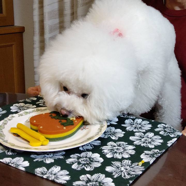 A774f520 d1ca 4395 9ad5 e079fc104fe5 1580468446025