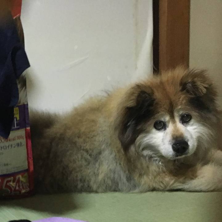 A7750188 19cd 44dc b636 b909831edca3 1553214515454