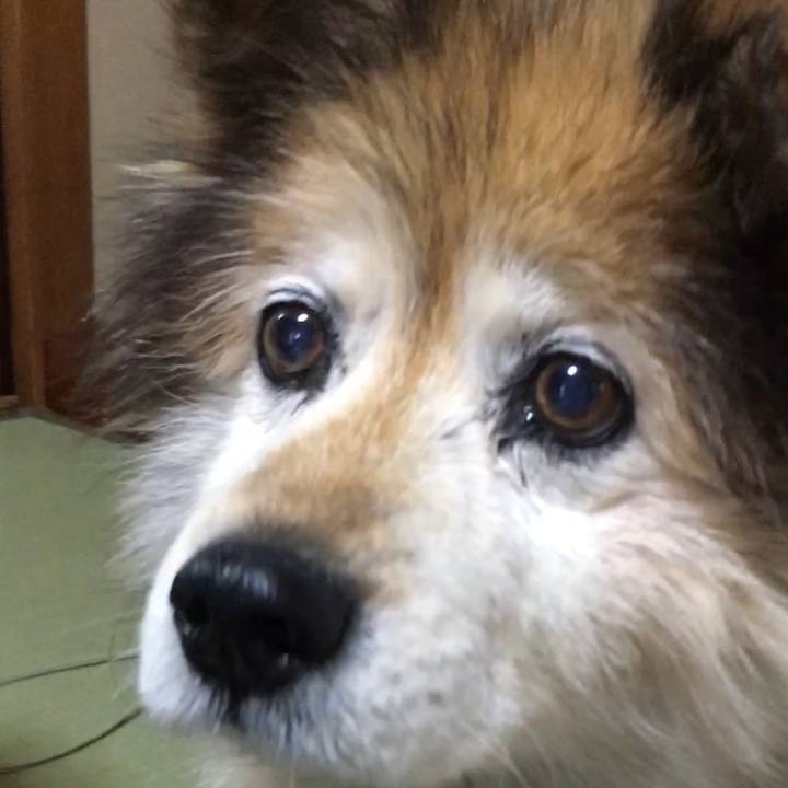 A7750c23 075f 440a 8c9f 64c38dcf0472 1563142751963