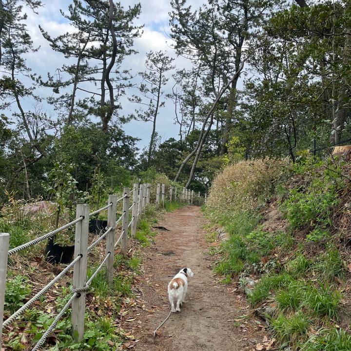 A7750dc6 b9d6 44df 94ac 83d6a6b3e45a 1618785831865