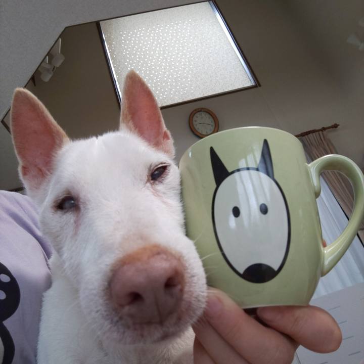 A775119e b6d2 425b b89b f60f330740eb 1569198408482