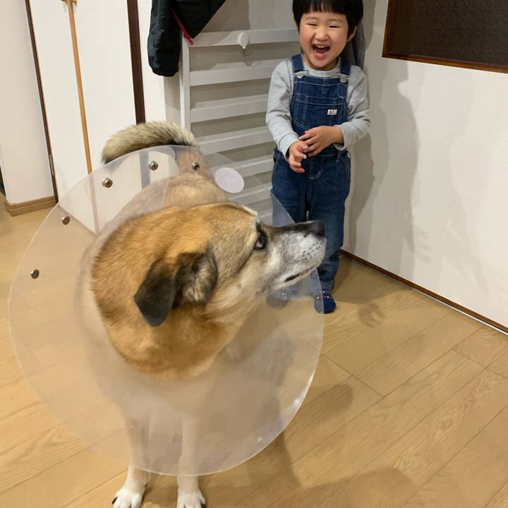 A77512ec e5ac 4aae bdce f4a589260315 1556444115279