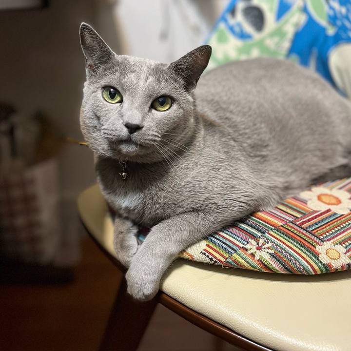 A775d2ff e5ec 453e 911a 5233d072251d 1723091368304