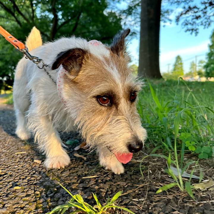 A77602cc f97c 4234 85dd bc3b10d01256 1689501266943