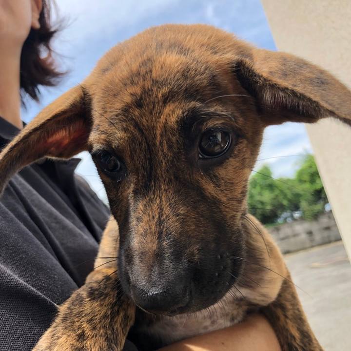 A776051e 8d04 4984 9884 9599c0d5b25a 1567551137033